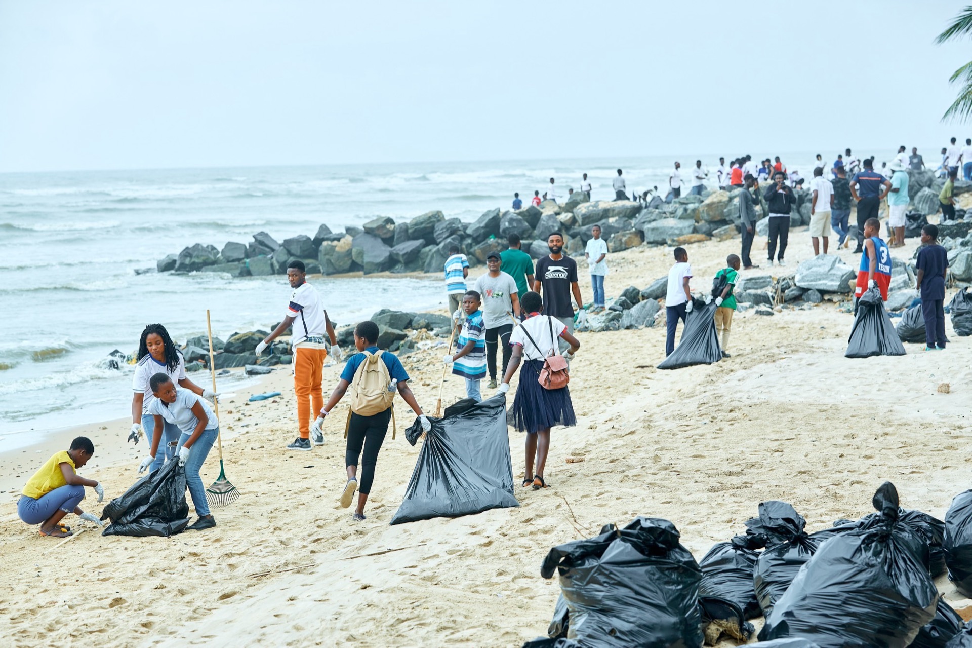 Bottle Builders collection team clearing plastic waste from a shoreline